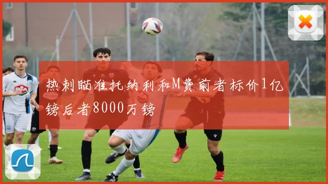 热刺瞄准托纳利和M费前者标价1亿镑后者8000万镑